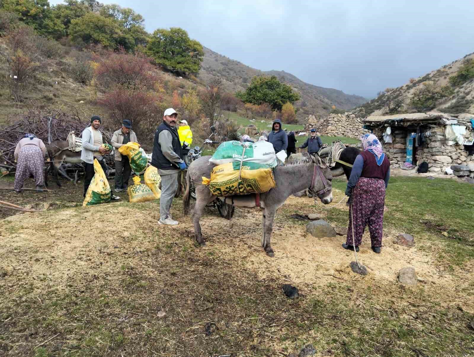 Şuhut’ta kestane hasadı başladı