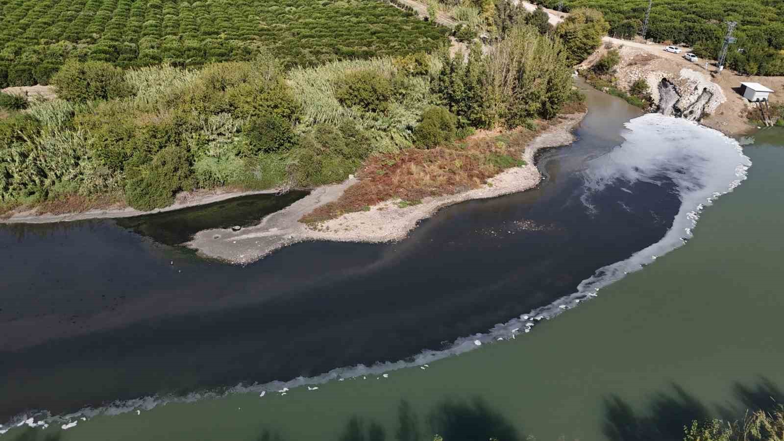 Ceyhan Nehri’ndeki kirlilik balıkları telef etti
