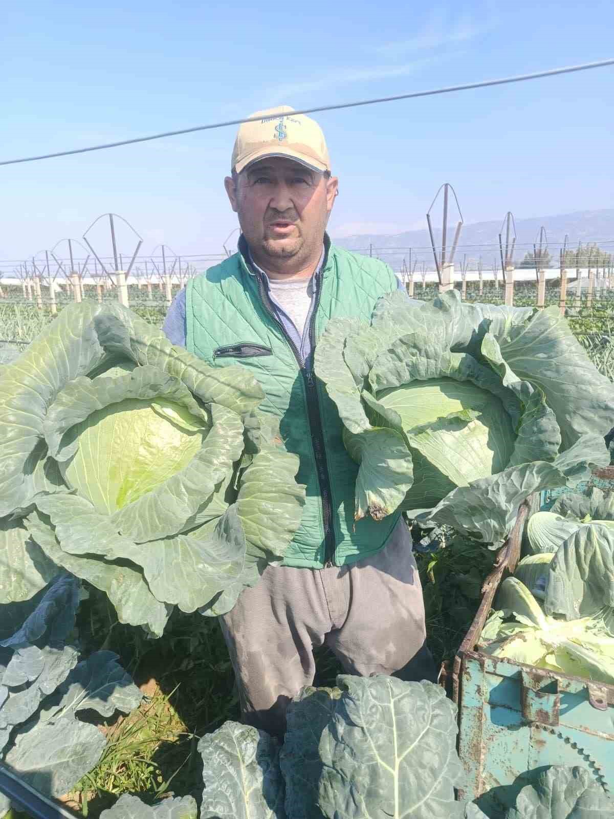 Sarıgöl Pazarı ata tohumlu sebzelerle renklendi
