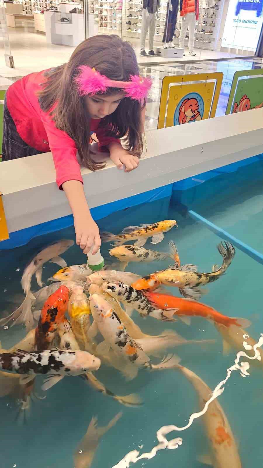 Minikler hem eğlendi hem de biberonla balık besledi