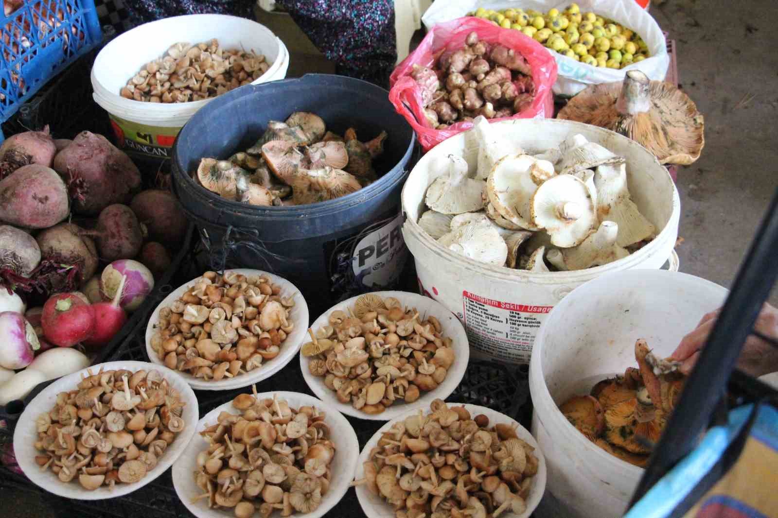 Vatandaş ormandan kova kova topladı, pazarda kilosunu 400 liraya sattı
