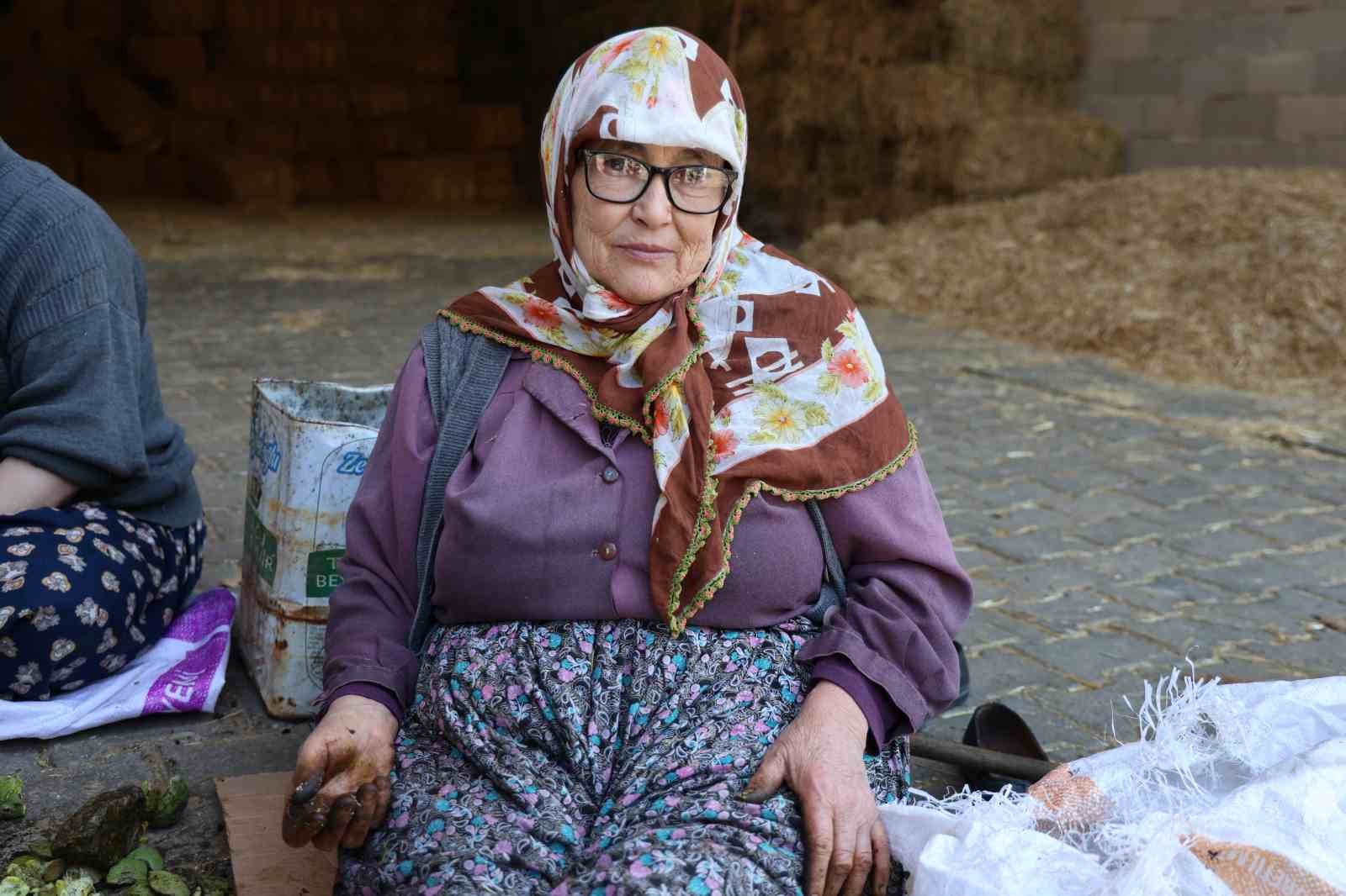 Hasadı yapılan cevizler satışa hazırlanıyor