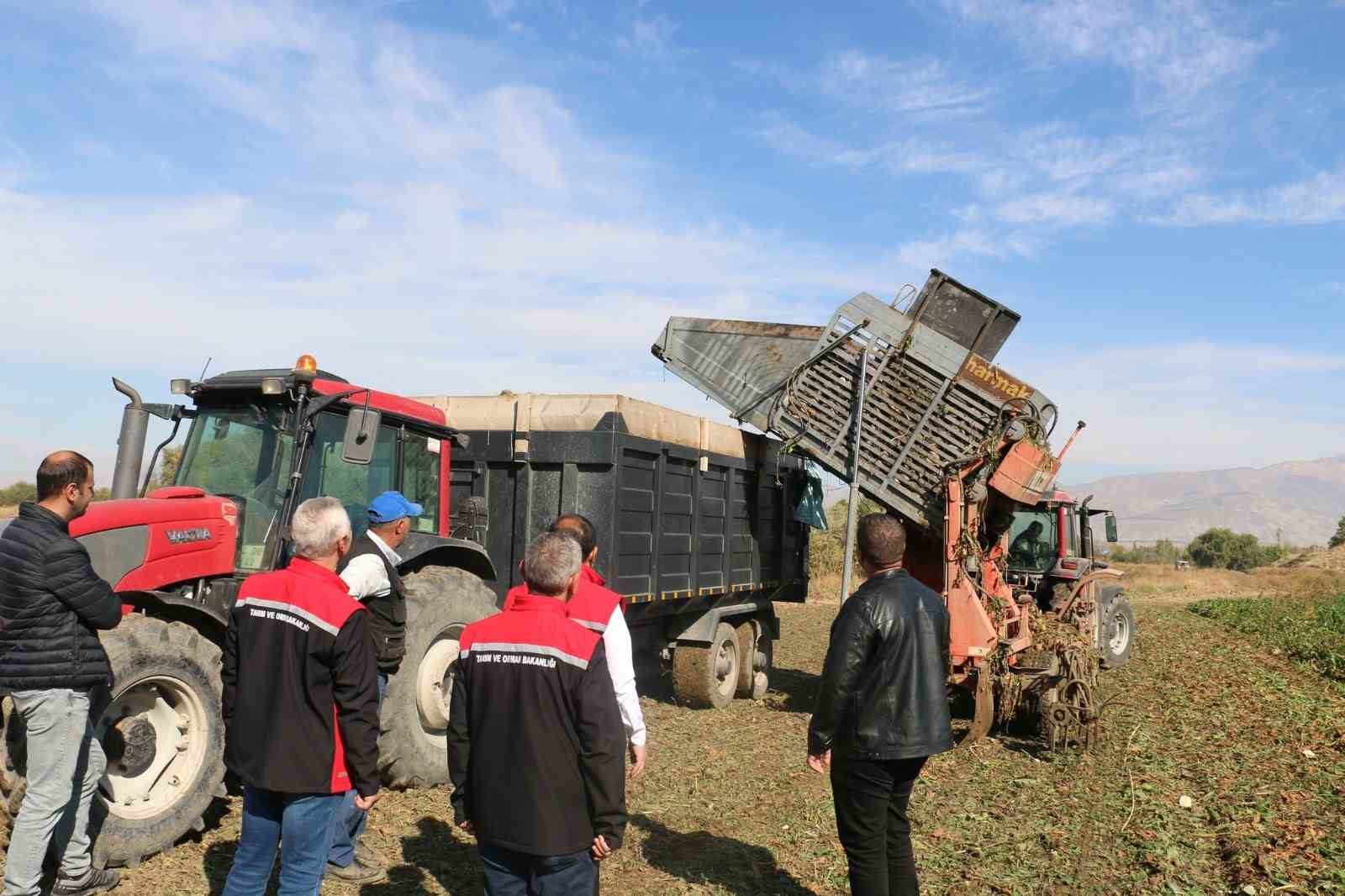 Erzincan’da şeker pancarı üretimi yılda yaklaşık 1 milyar TL boyutunda ekonomik döngü ortaya koyuyor
