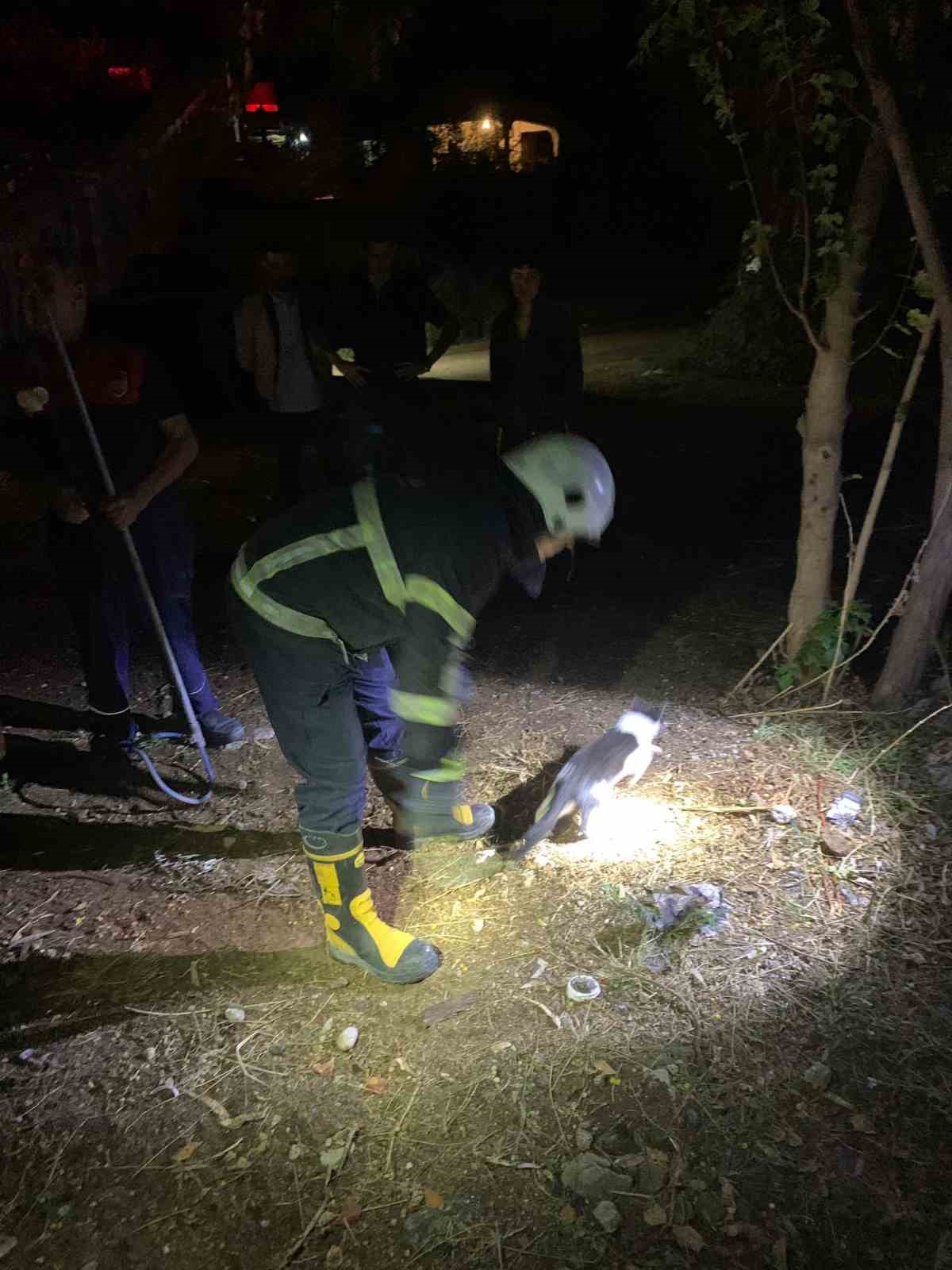 Ağa&ccedil;ta sıkışan kediyi itfaiye kurtardı
