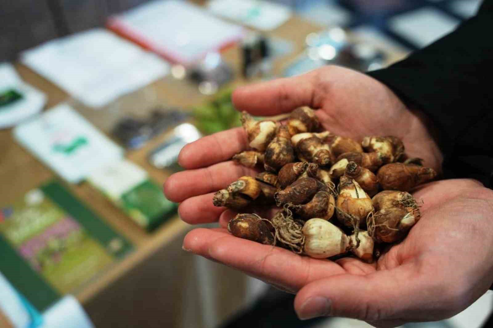 Tıbbi ve aromatik bitki üretiminden 1,2 milyon TL gelir
