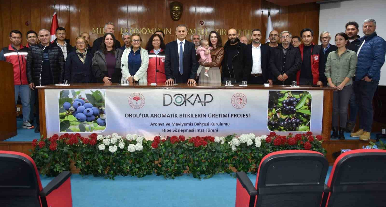 Ordu’da maviyemiş ve aronya üretim alanı 180 dekara ulaşıyor