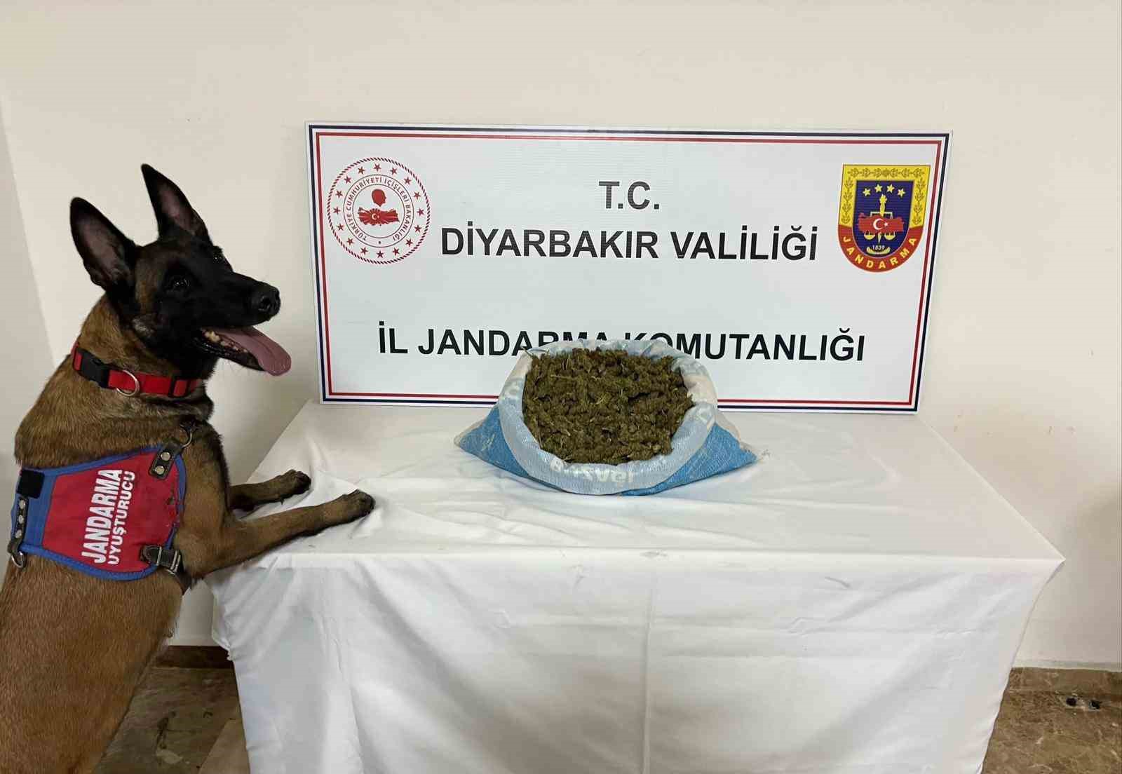 Diyarbakır’da uyuşturucu operasyonu
