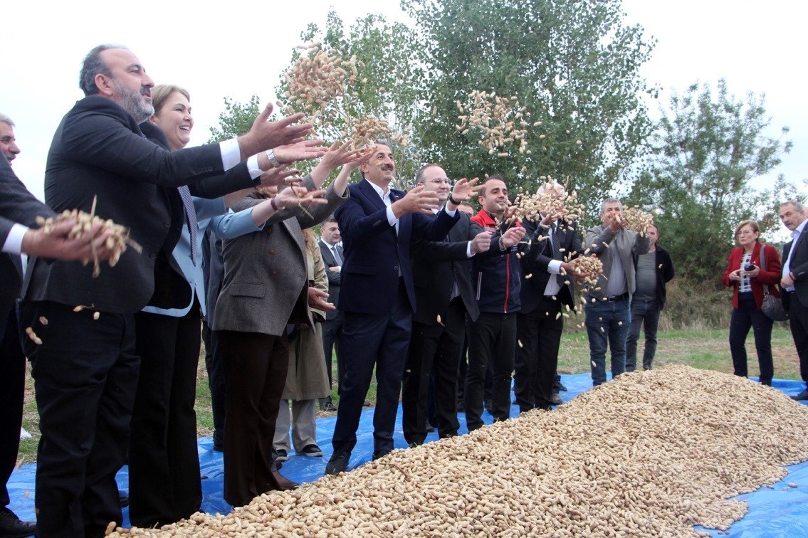 Meriç’te fıstık şenliği