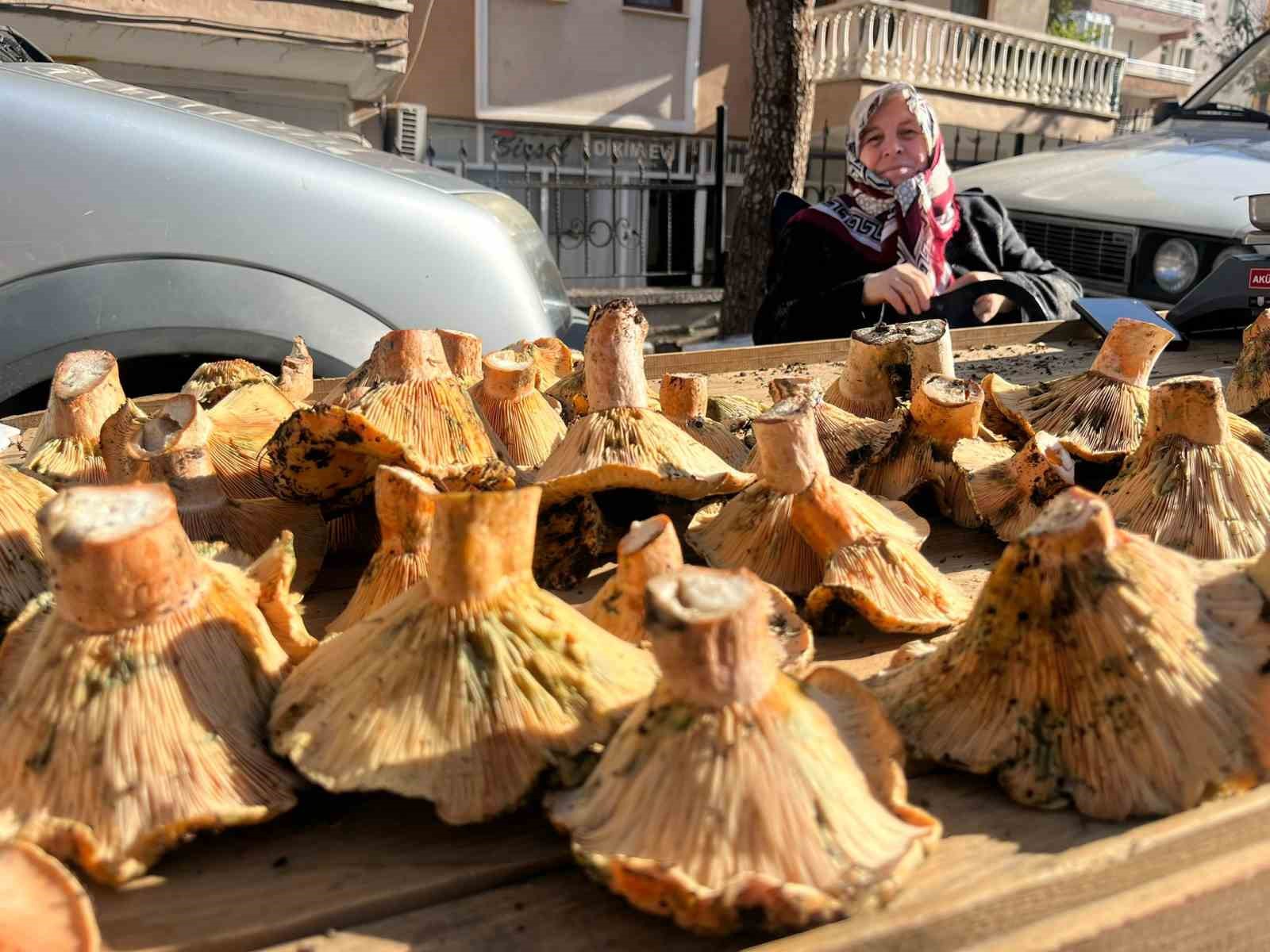 Tavşanlı pazarında mantar mesaisi