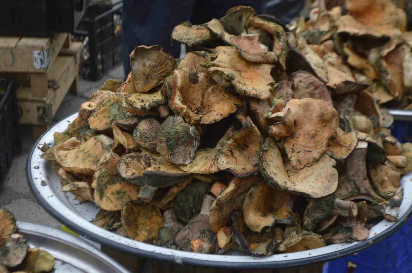 Tavşanlı pazarında mantar mesaisi