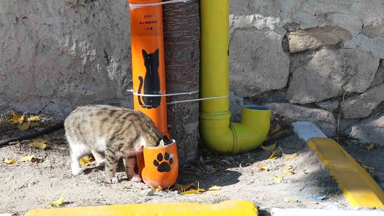 Öğrenciler hem çevre bilincini hem hayvan sevgisini bir araya getirdi