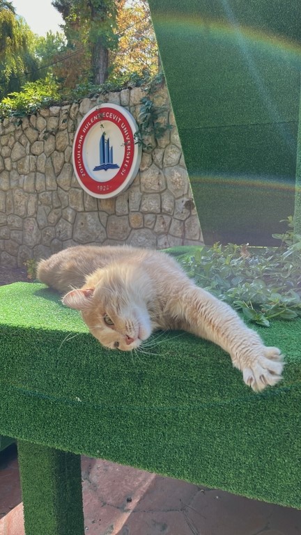 "Ustanın İzinde Kadrajda BEUN" yarışmasında kazananlar belli oldu