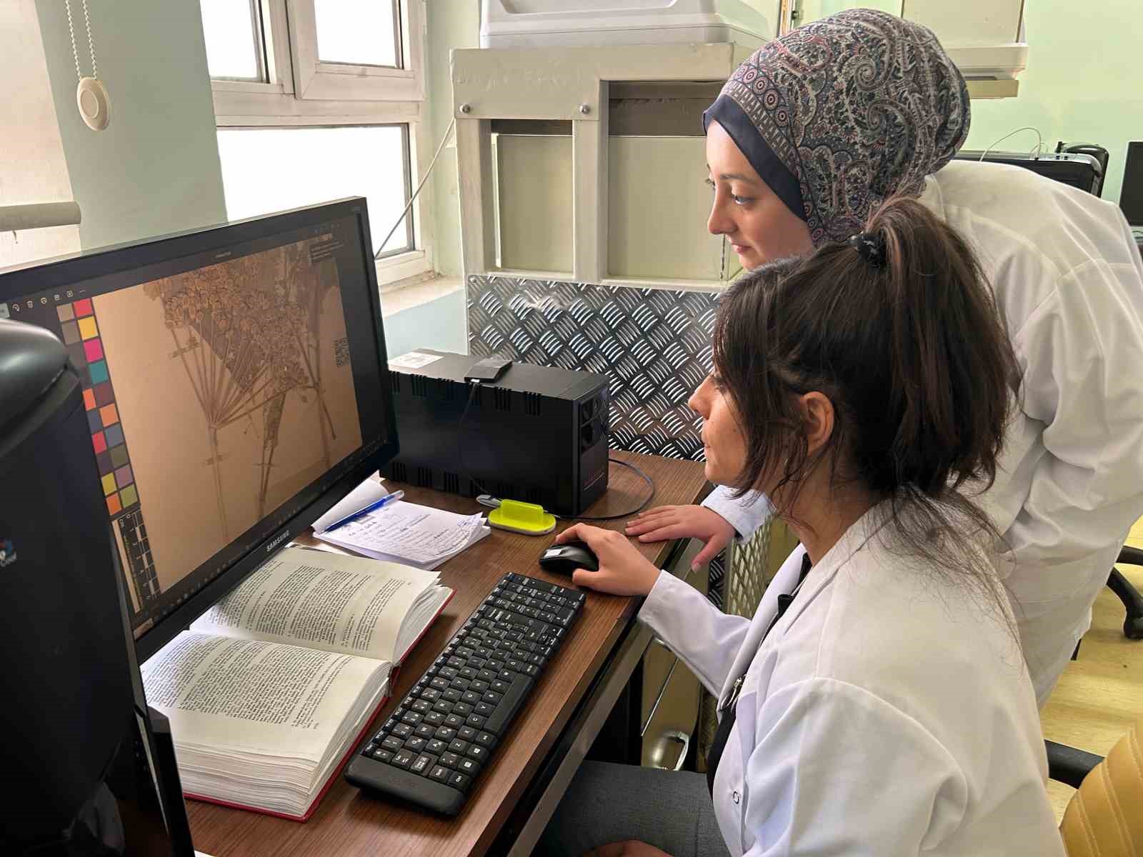 90 bin bitki &ouml;rneğiyle bilimsel bir hazine: VANF Herbaryumu
