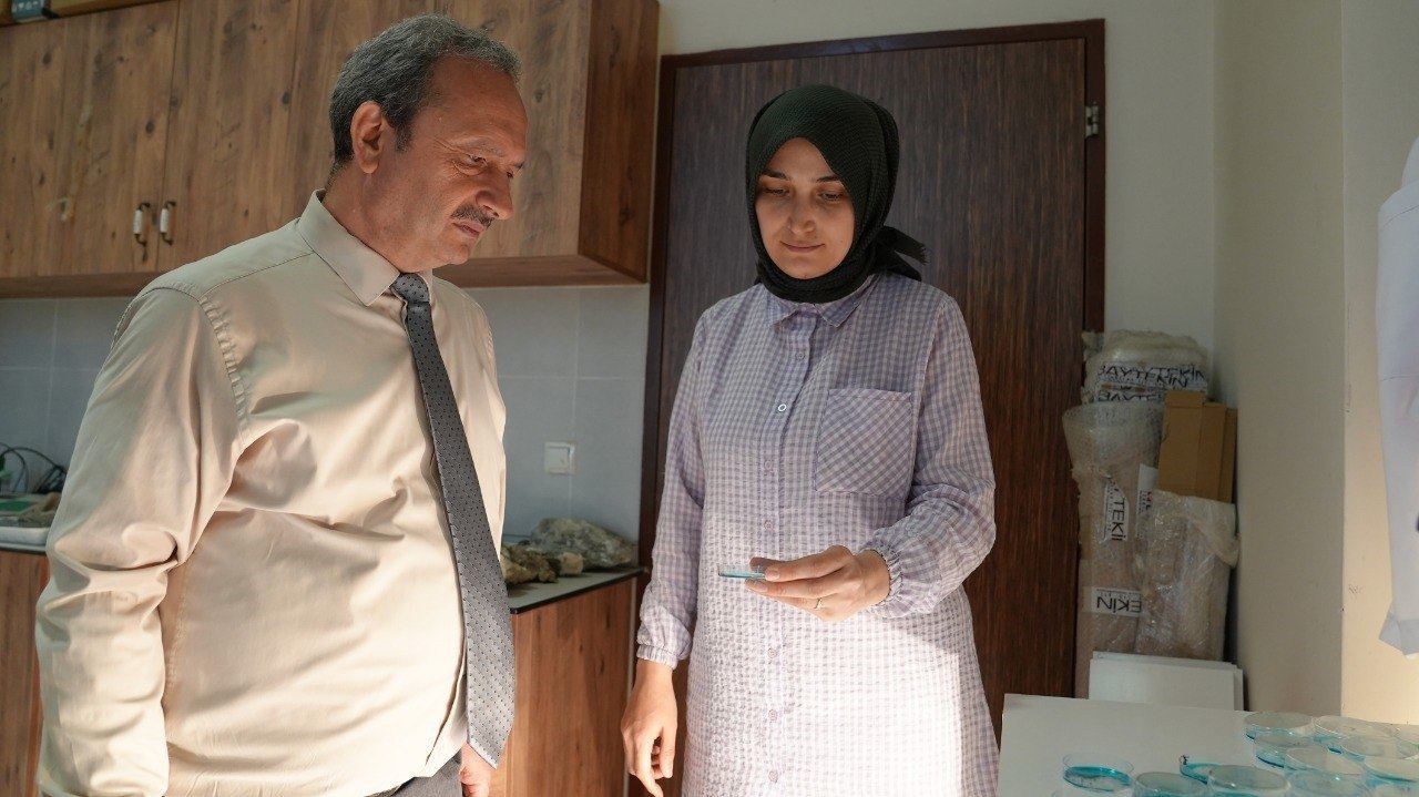 Batı Karadeniz orman fidanlıklarında toprak canlıları ilk kez araştırılıyor
