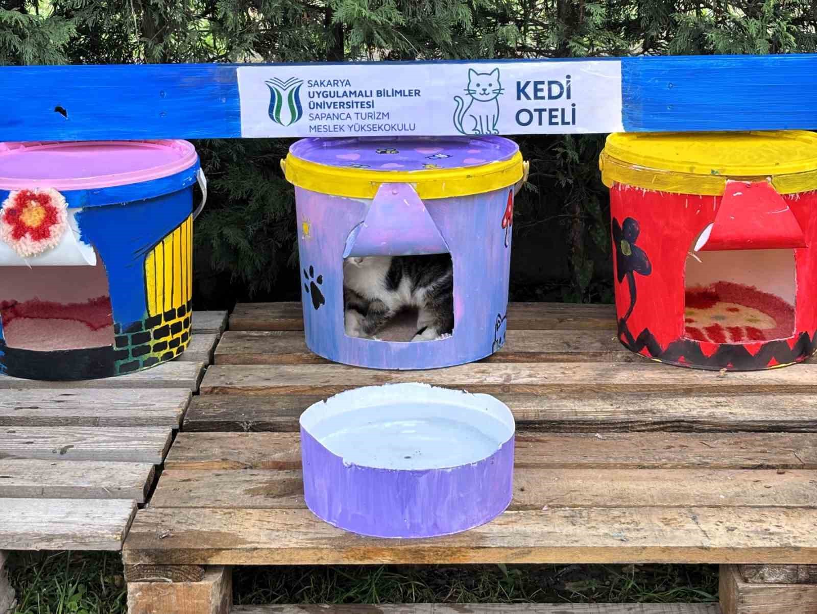 Geri d&ouml;n&uuml;şt&uuml;r&uuml;len kovalar kedi oteline d&ouml;n&uuml;şt&uuml;

