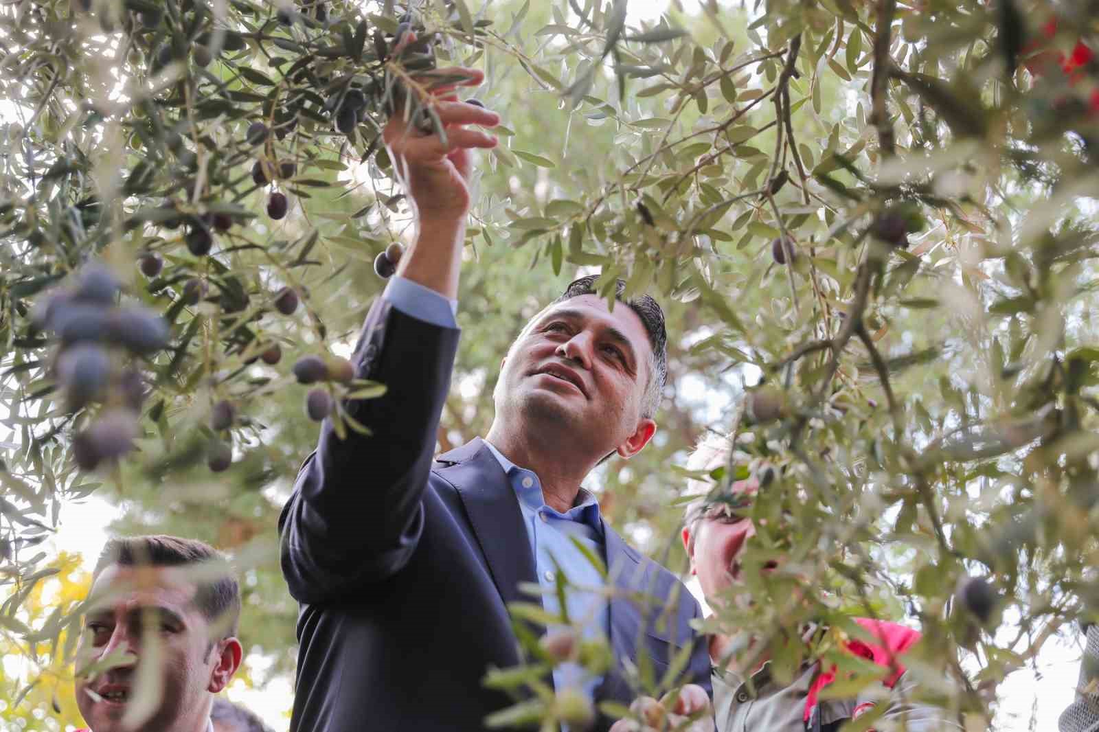 &rsquo;Zeytinin Yolculuğu&rsquo; Aliağa&rsquo;da şenlikle kutlandı
