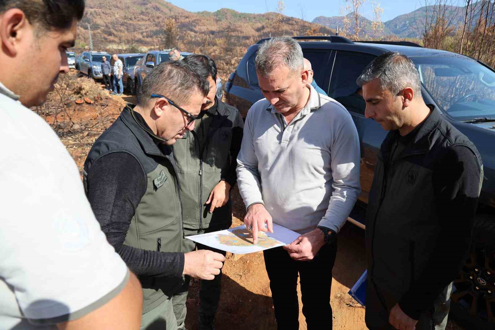 K&ouml;yceğiz&rsquo;de yanan sahalar fidan dikimi i&ccedil;in hazırlanıyor
