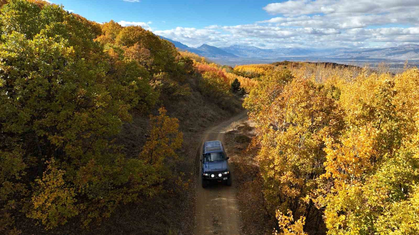 Altın ve kızılın dansı: Erzincan&rsquo;ın dağları sonbahar g&uuml;zelliğiyle b&uuml;y&uuml;l&uuml;yor
