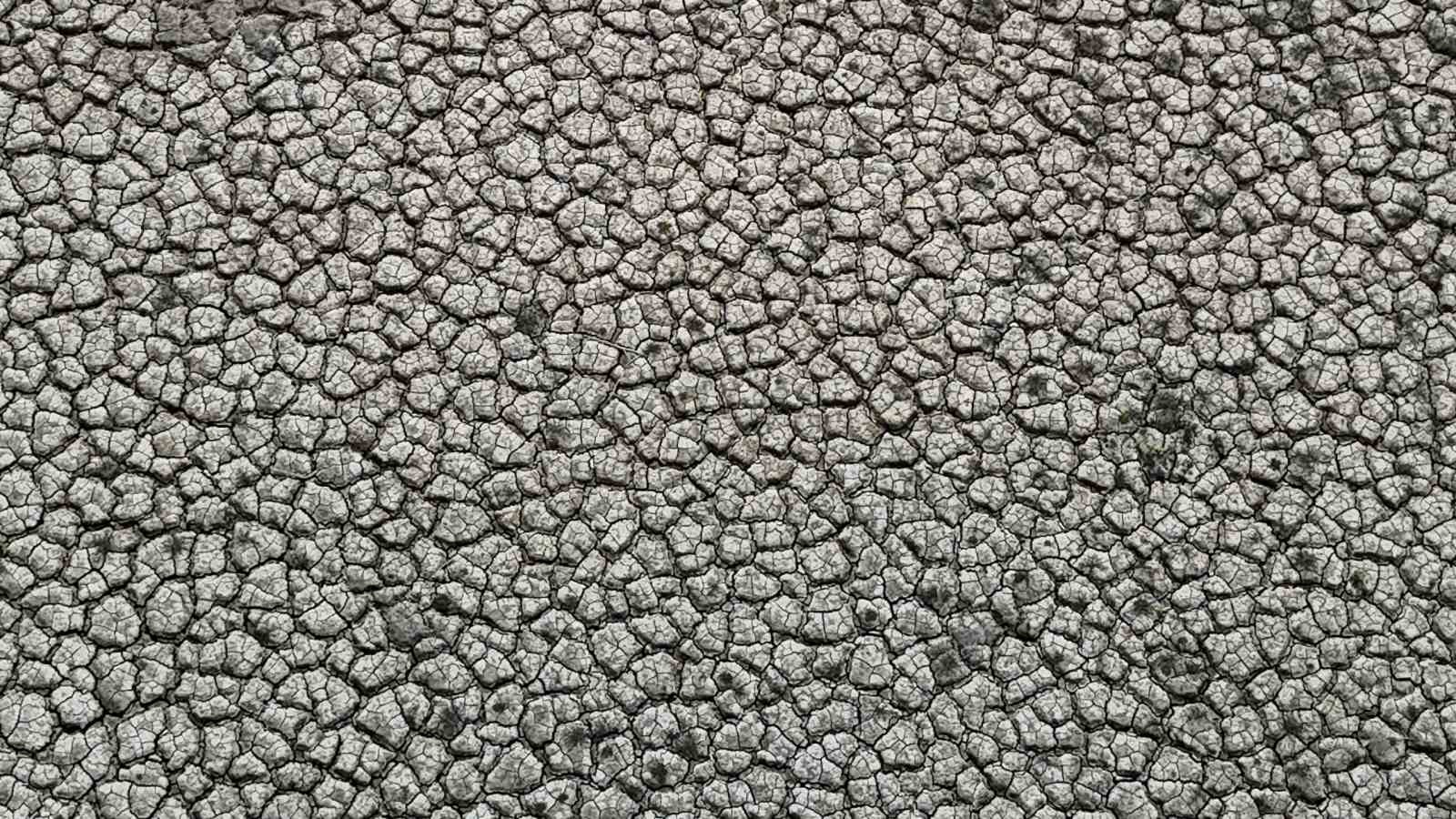 Kuraklığın izi: Seyhan Baraj Gölü’nde sular çekilince toprak çatladı