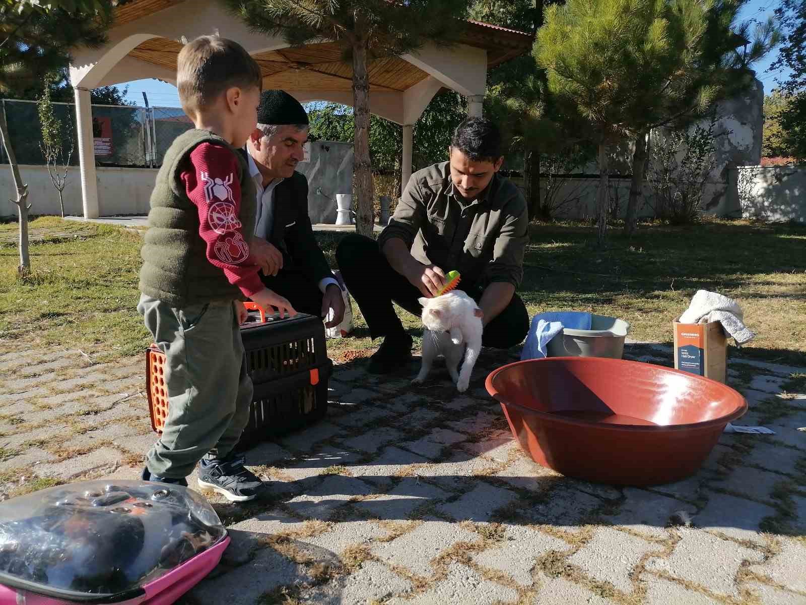 Cami imamı onlarca kediye bakıyor
