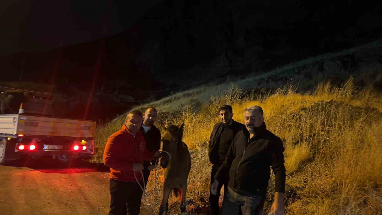 Hakkari’de ayağı kırık at kurtarıldı