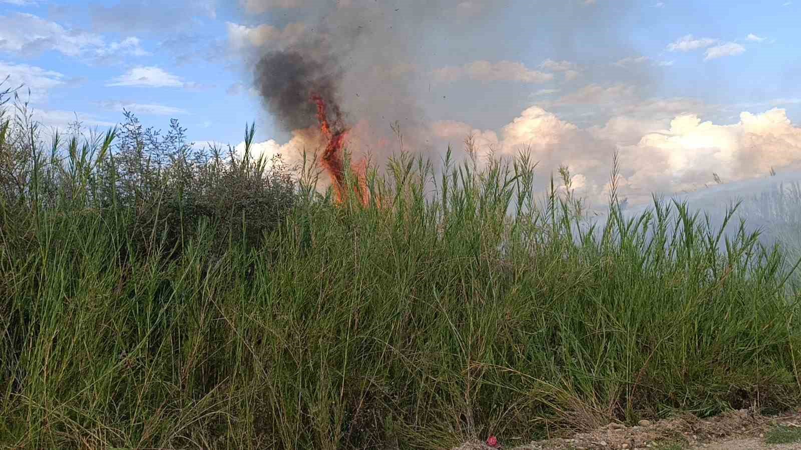 D&ouml;k&uuml;len &ccedil;&ouml;pler kargıların yanmasına neden oldu
