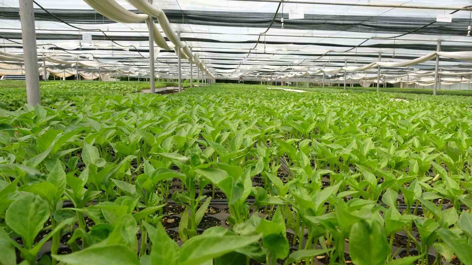 Prof. Dr. Resul Gerçekçioğlu: "Yabancı türler genetik mirasımızı yok etti"