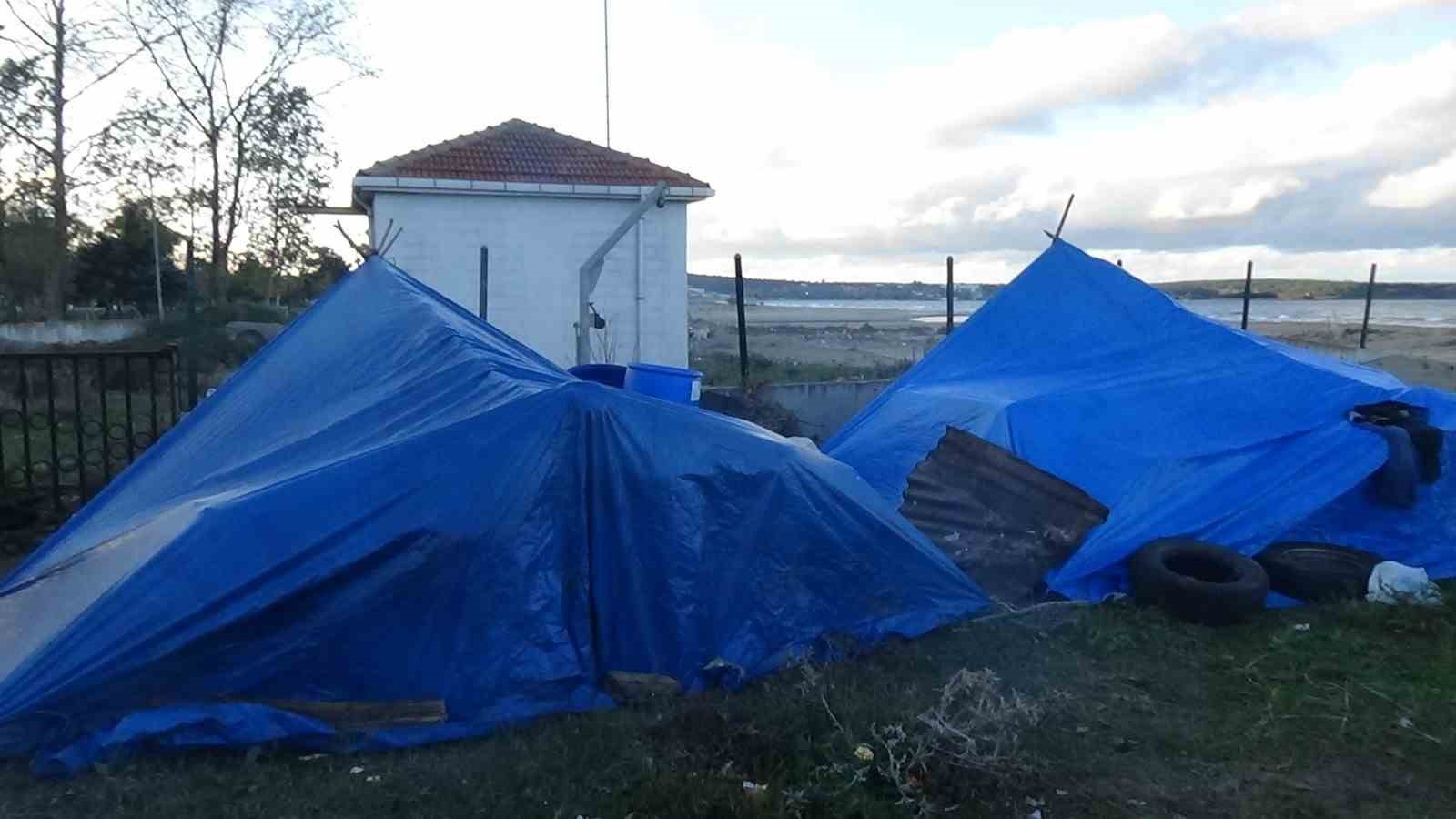 Sinop’ta Roman vatandaşların "kokina" mesaisi: İstanbul’dan gelip topluyorlar