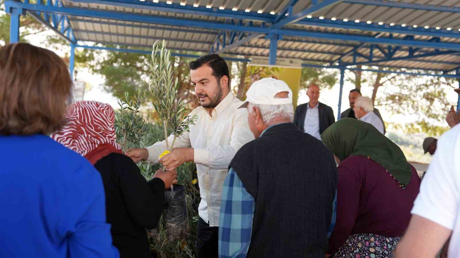 Alanya’daki yangın bölgesinde 3 bin 400 zeytin fidanı bahçe sahiplerine dağıtıldı