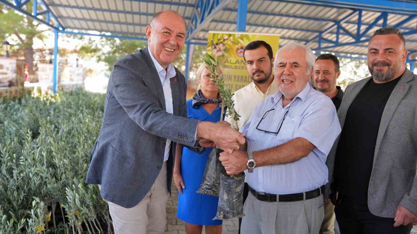 Alanya’daki yangın bölgesinde 3 bin 400 zeytin fidanı bahçe sahiplerine dağıtıldı