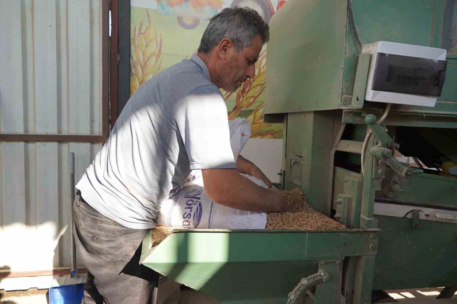 Atakumlu &ccedil;ift&ccedil;ilere karakıl&ccedil;ık buğdayı desteği
