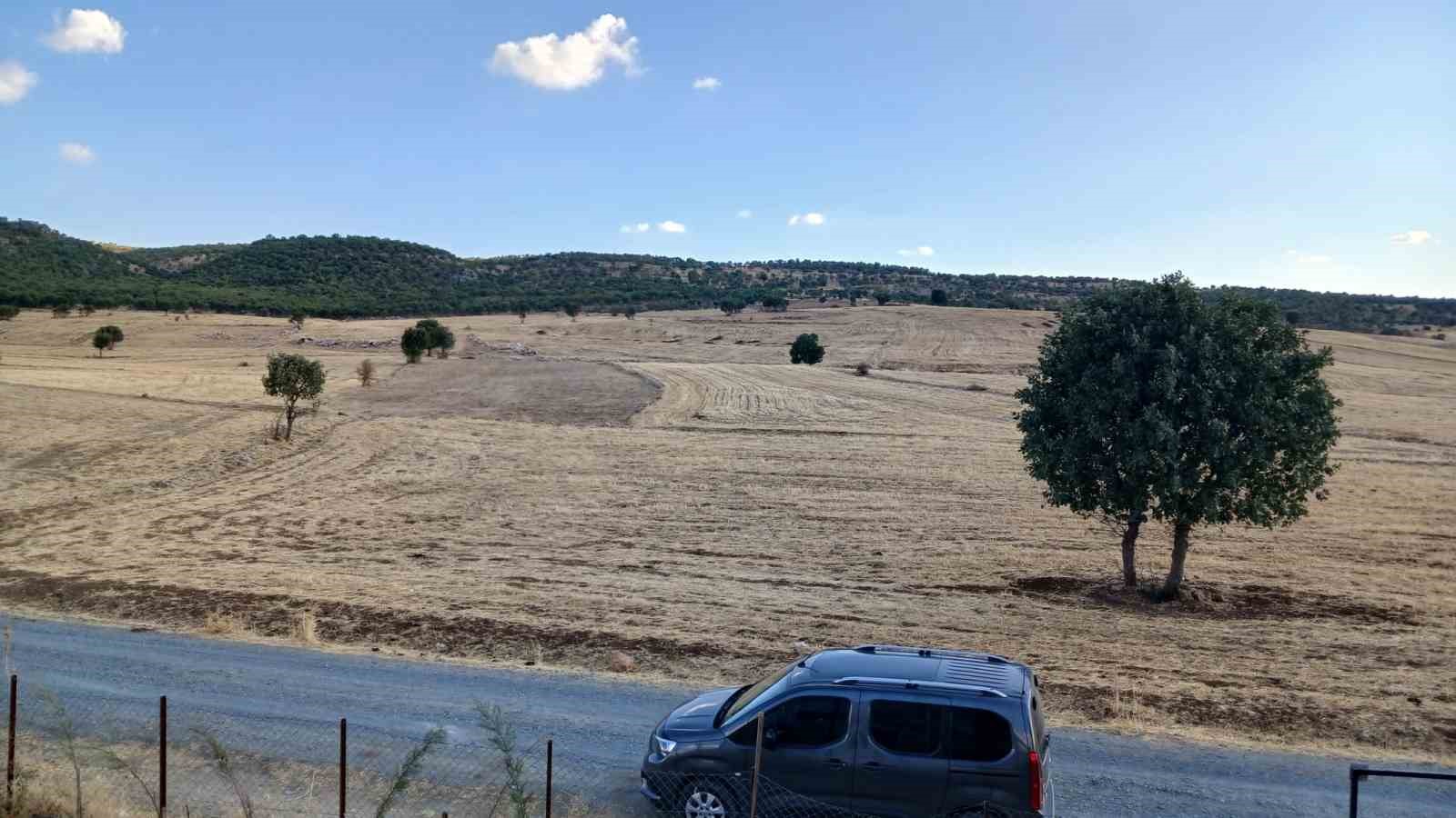 Kulp’ta sağanak başladı, çiftçiler umutlandı