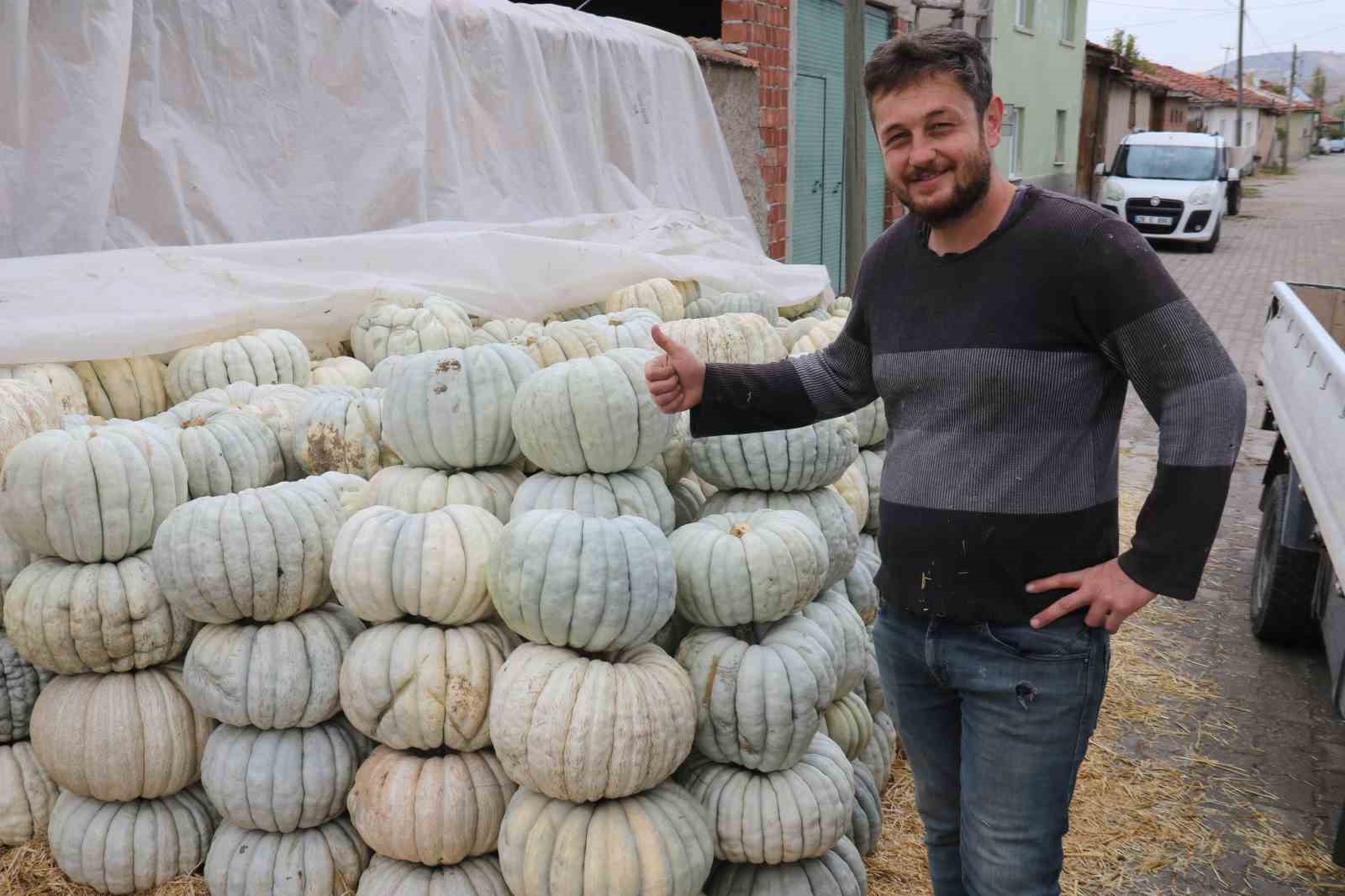Ata tohumu ile üretilen Eskişehir’in meşhur kabağının hasadı başladı