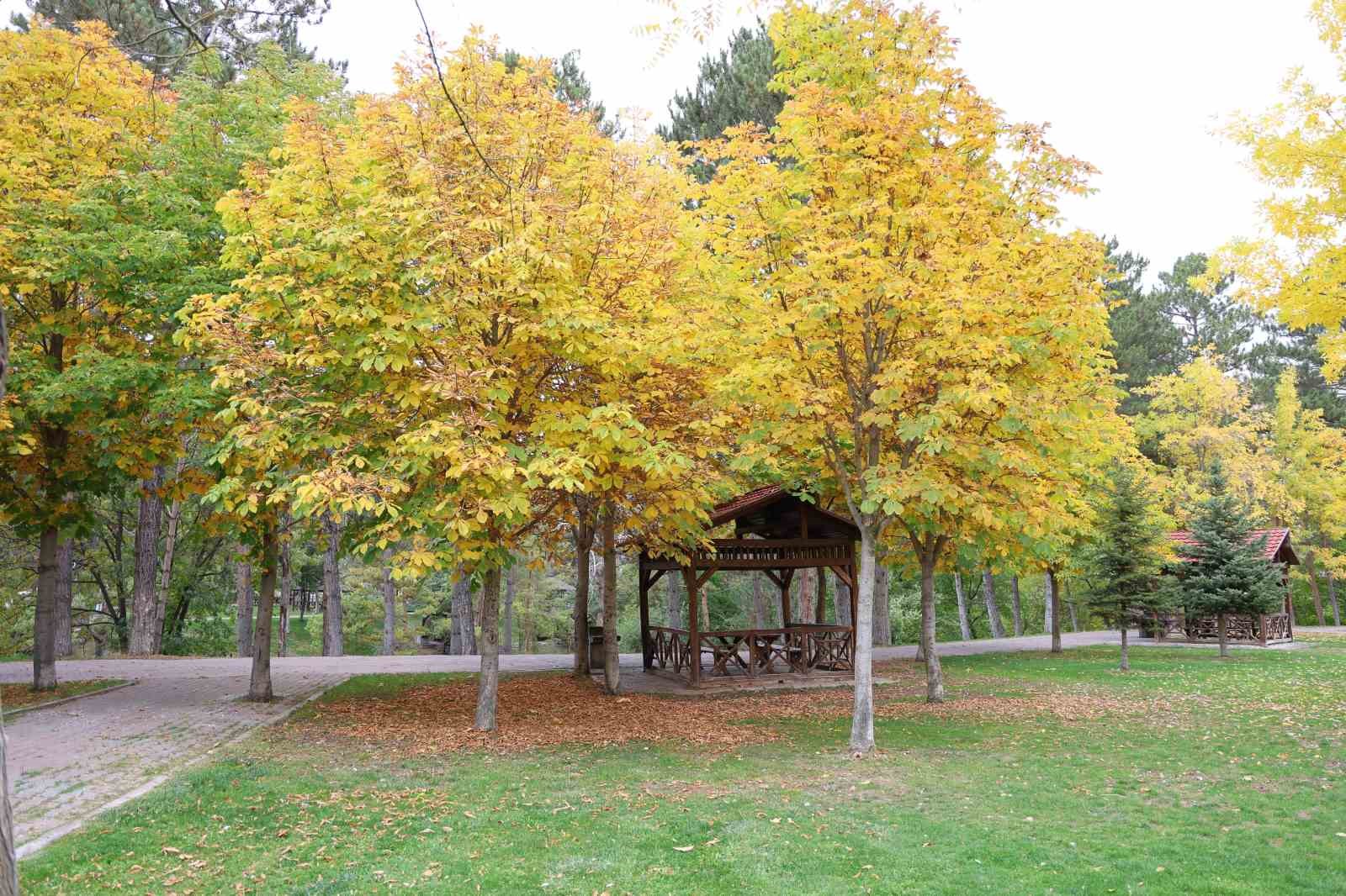 Sivaslıların uğrak mek&acirc;nı sonbahar sessizliğine b&uuml;r&uuml;nd&uuml;
