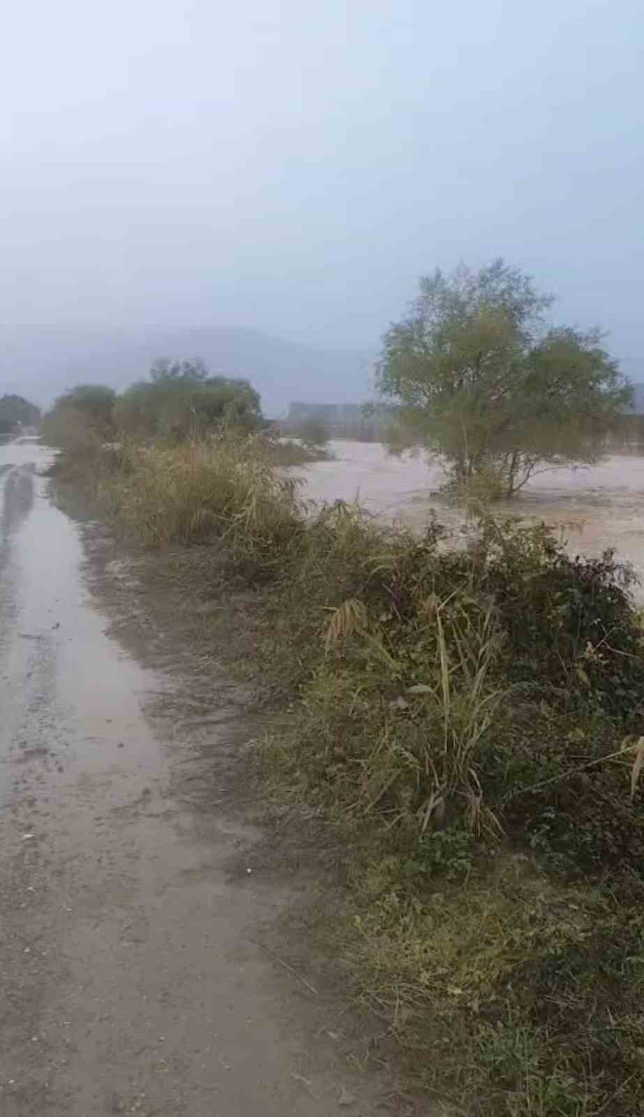 Göçkeada’da sel; tarım arazileri sular altında kaldı

