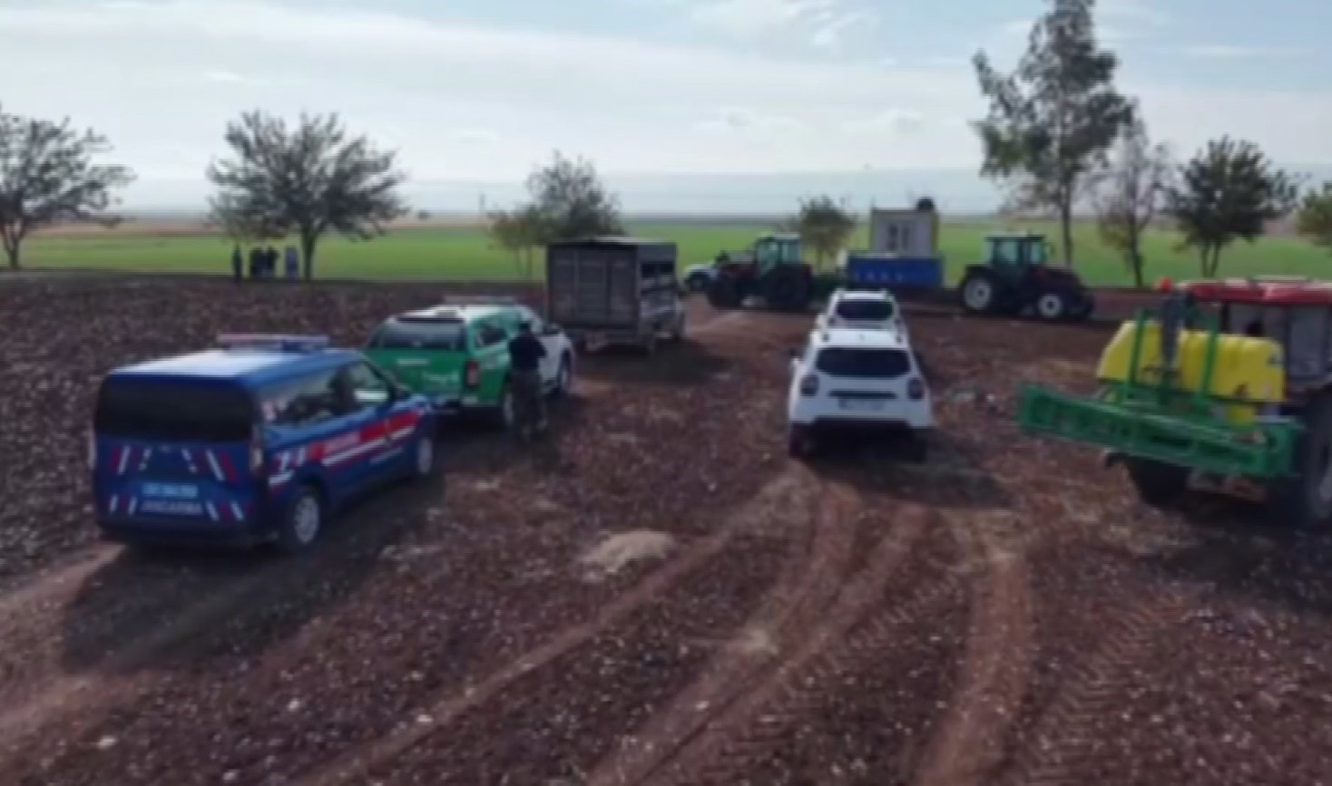 Gaziantep’te tarım arazilerine zarar veren yaban domuzları için sürek avı yapıldı