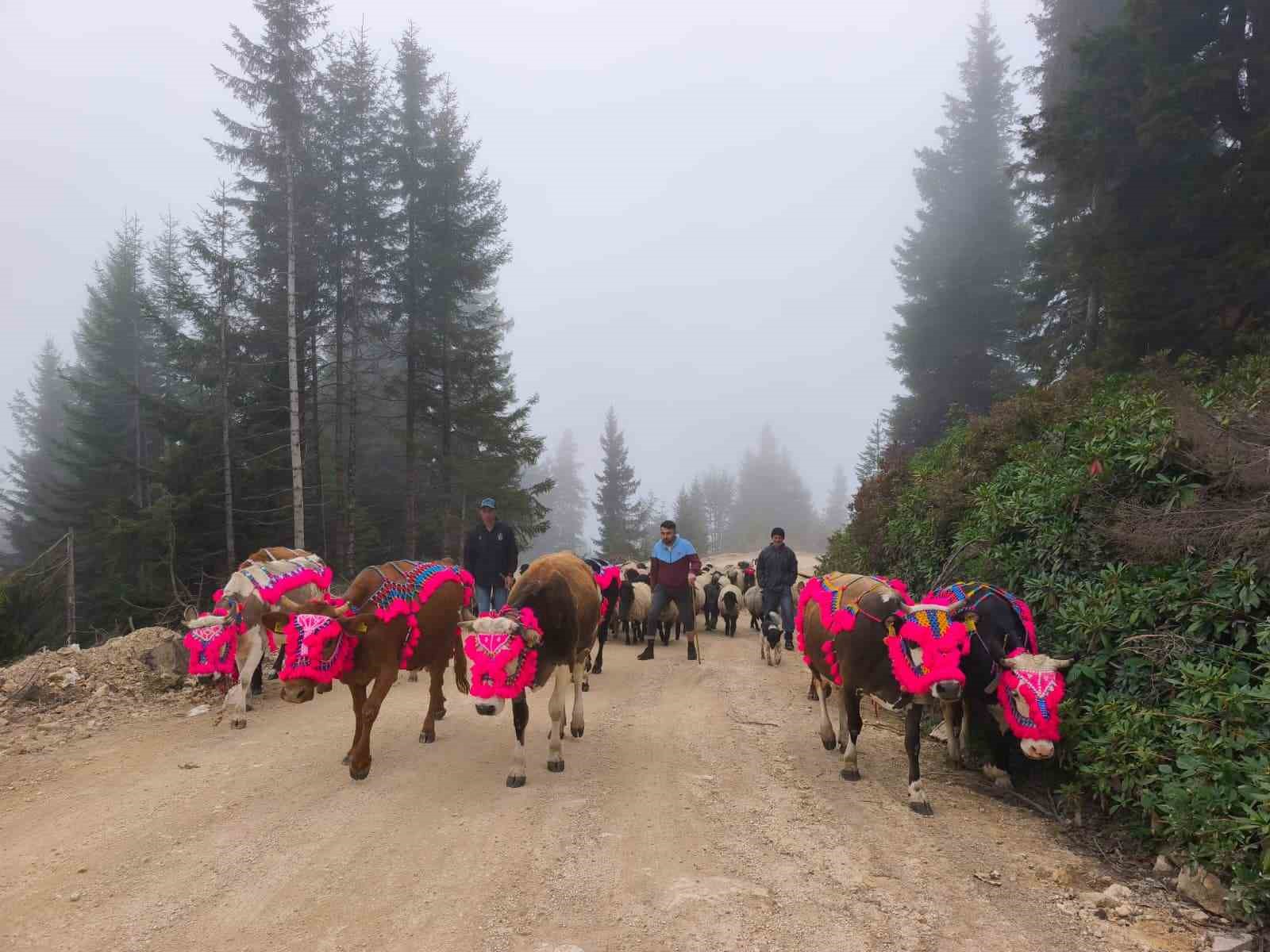 Doğu Karadeniz’de yaylalardan dönüşler hızlandı