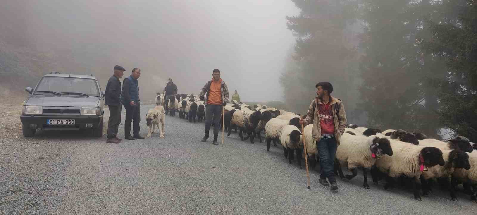 Doğu Karadeniz’de yaylalardan dönüşler hızlandı

