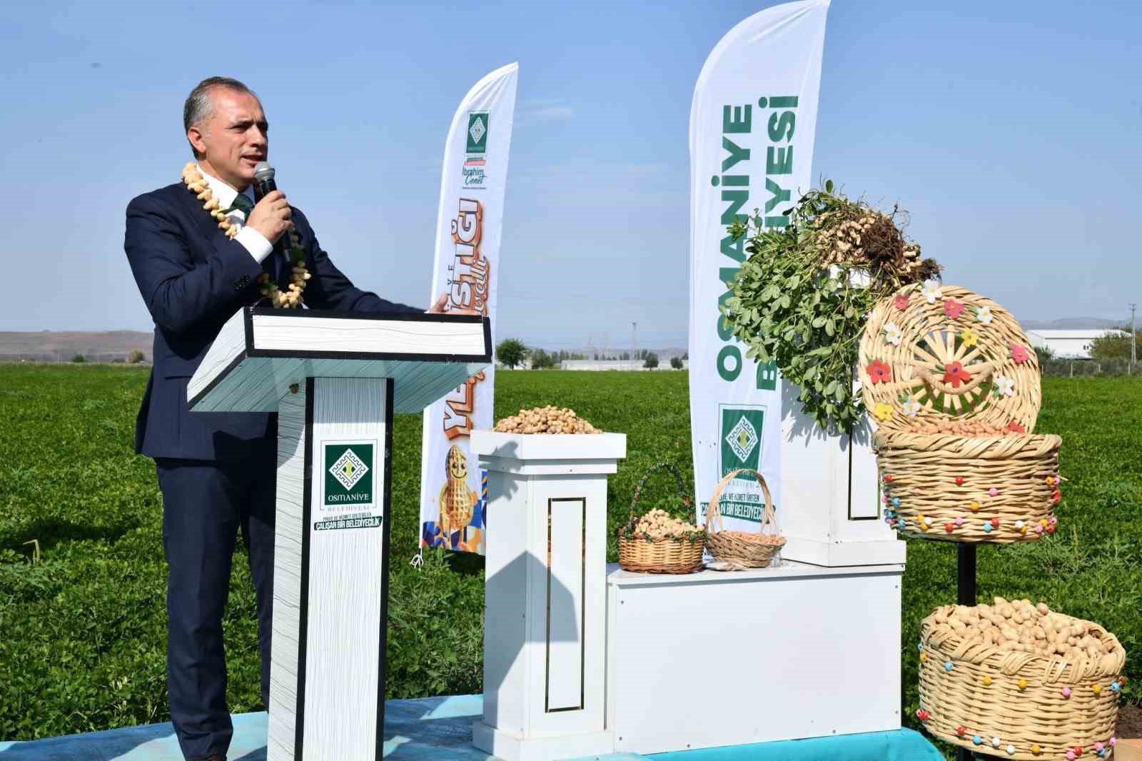 Osmaniye Fıstık Festivali’ne hazırlanıyor