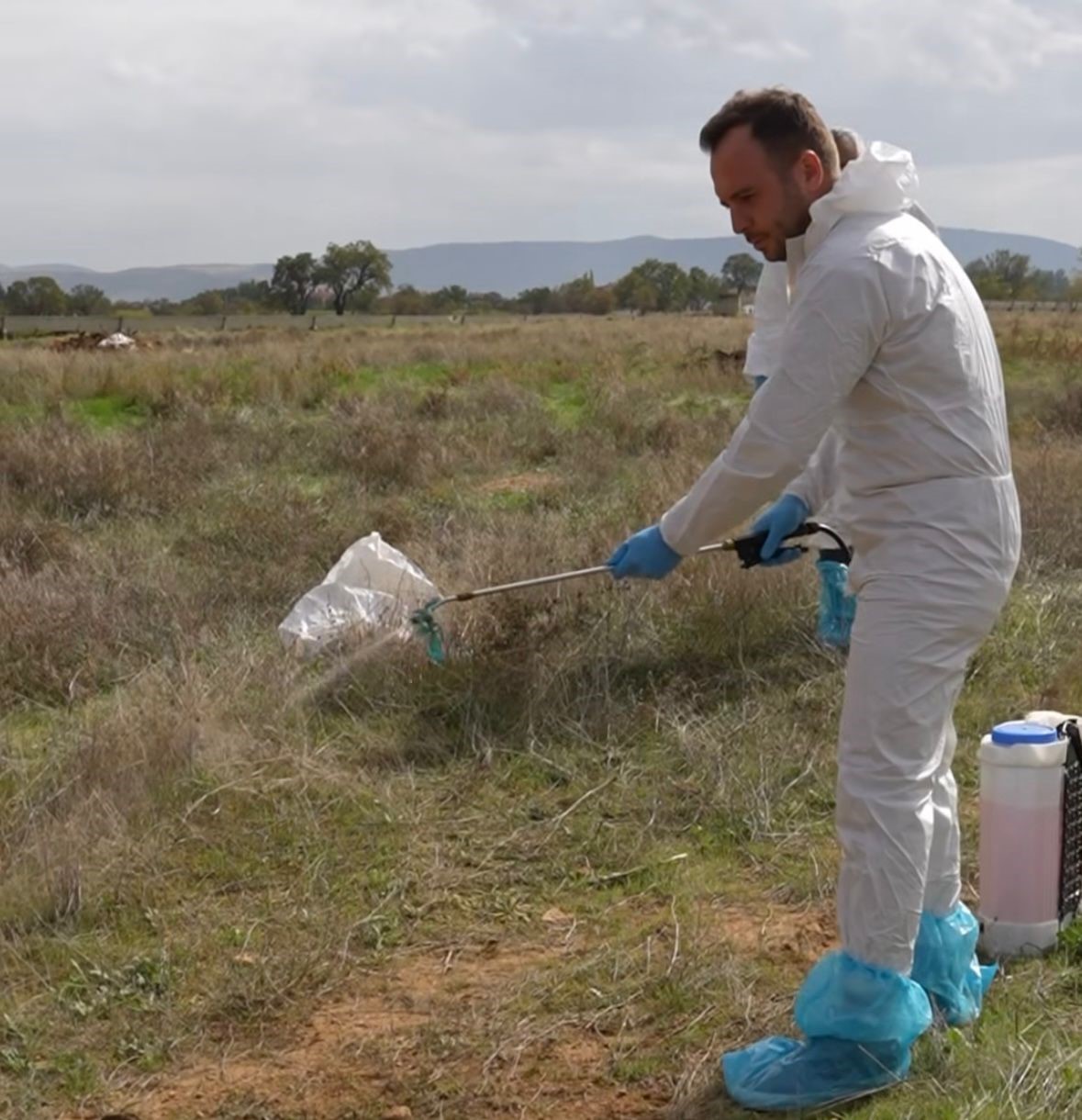 Çivril Belediyesi ilçede yaşanılan şap hastalığı için çalışmalarını sürdürüyor