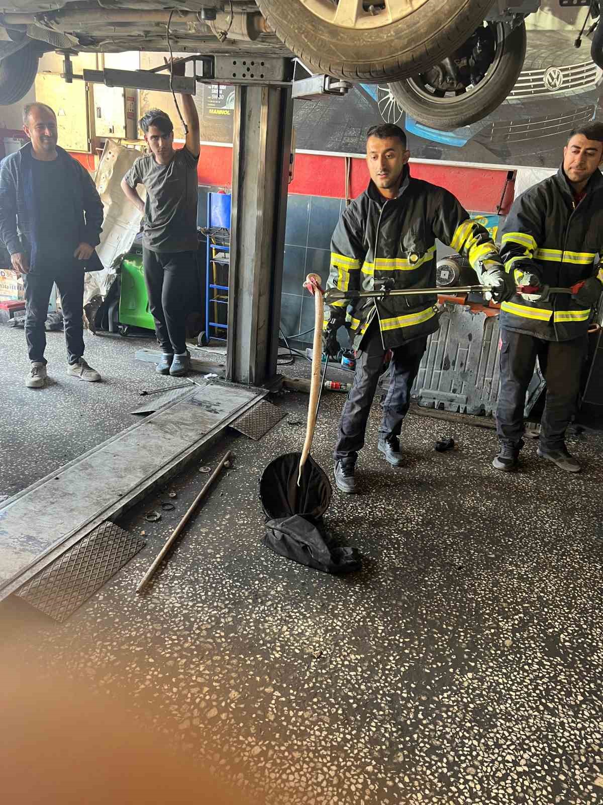 Batman’da otomobilin motoruna giren yılan itfaiyeyle ekiplerince çıkartıldı