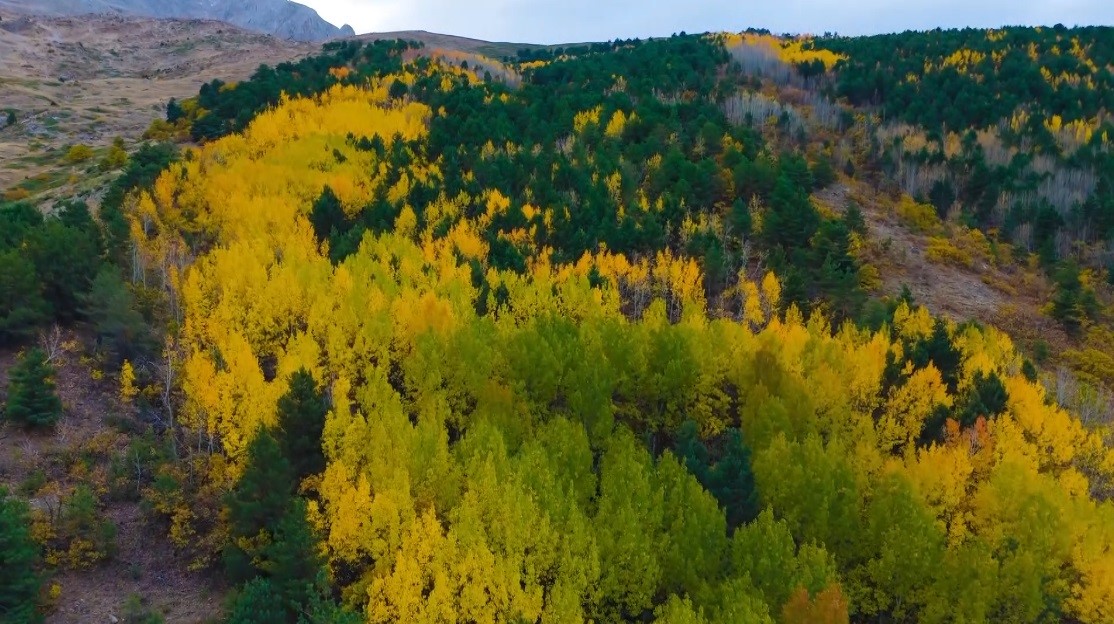 Sonbaharda seyirlik manzara
