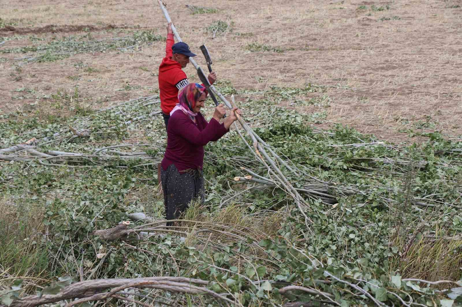 Köylerde kışlık odun hazırlığı
