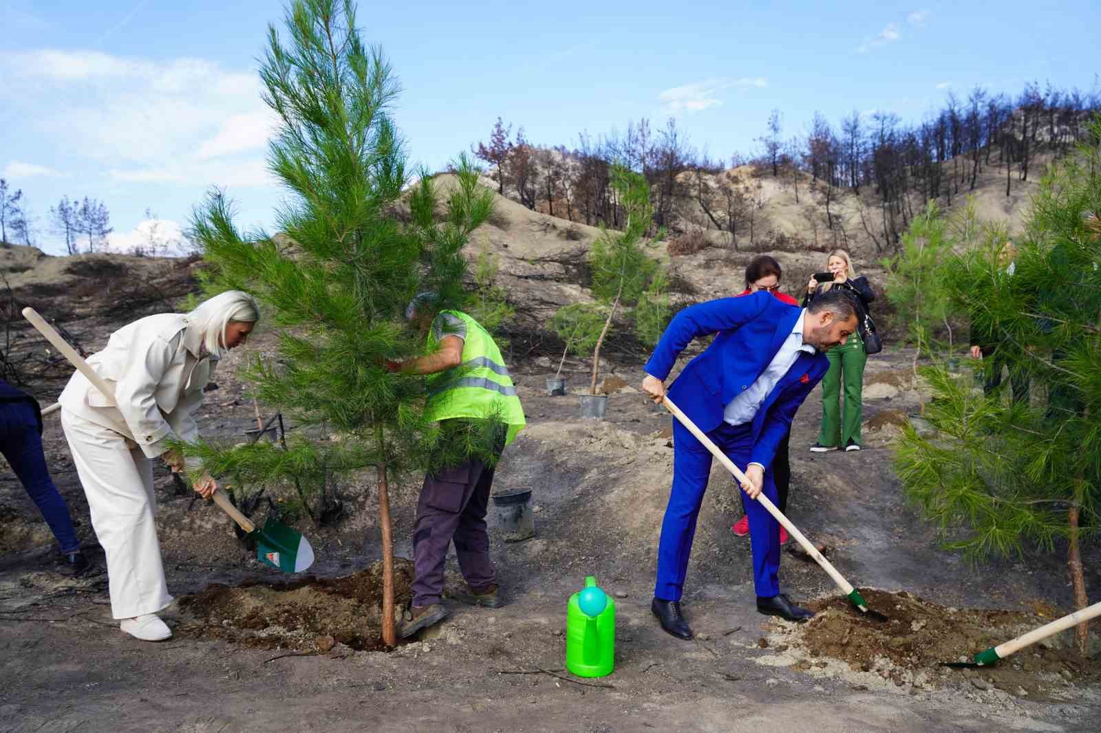 Yangın b&ouml;lgesinde ilk fidanlar toprakla buluştu
