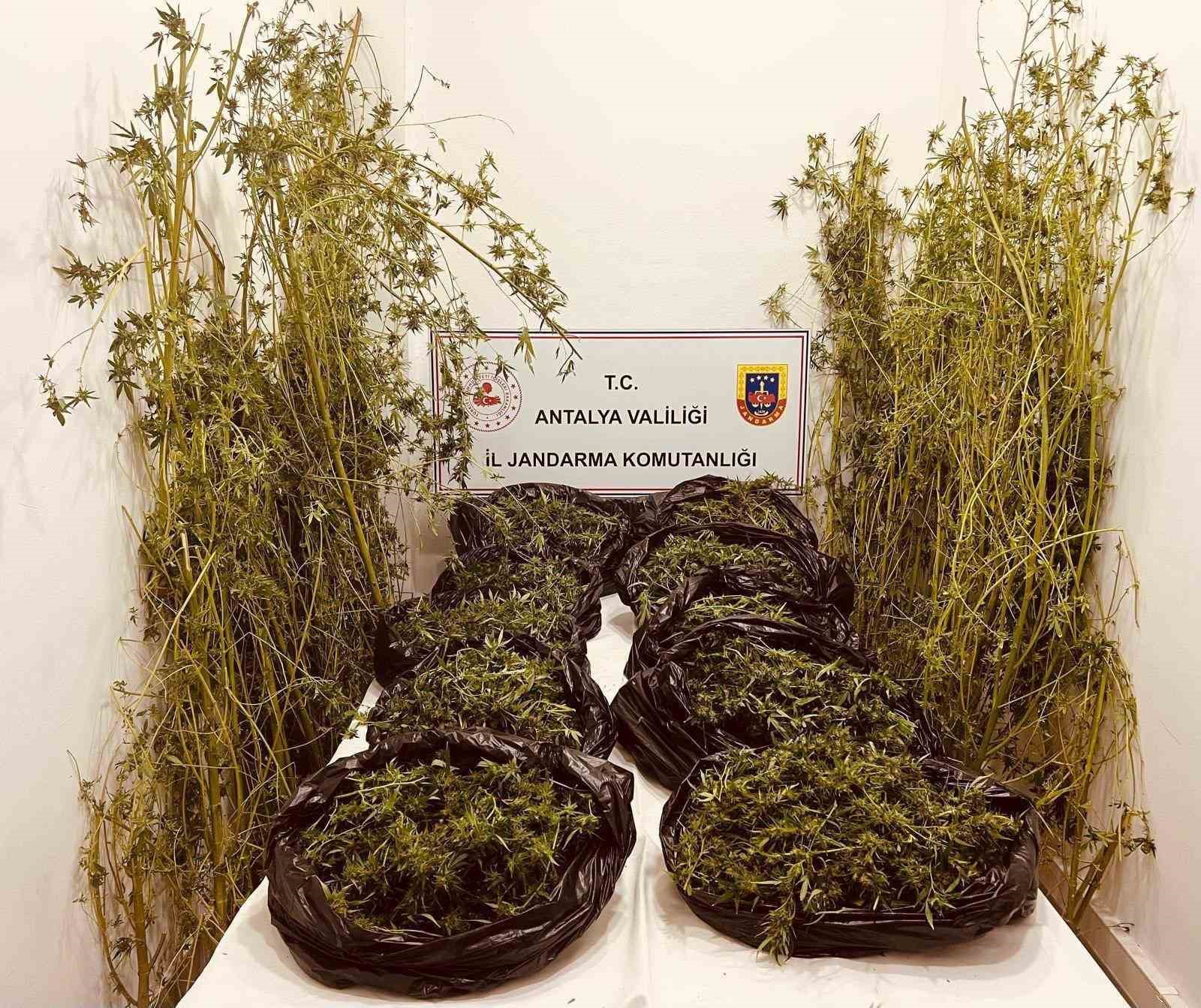 Antalya’da 53 kilo uyuşturucu ele geçirildi