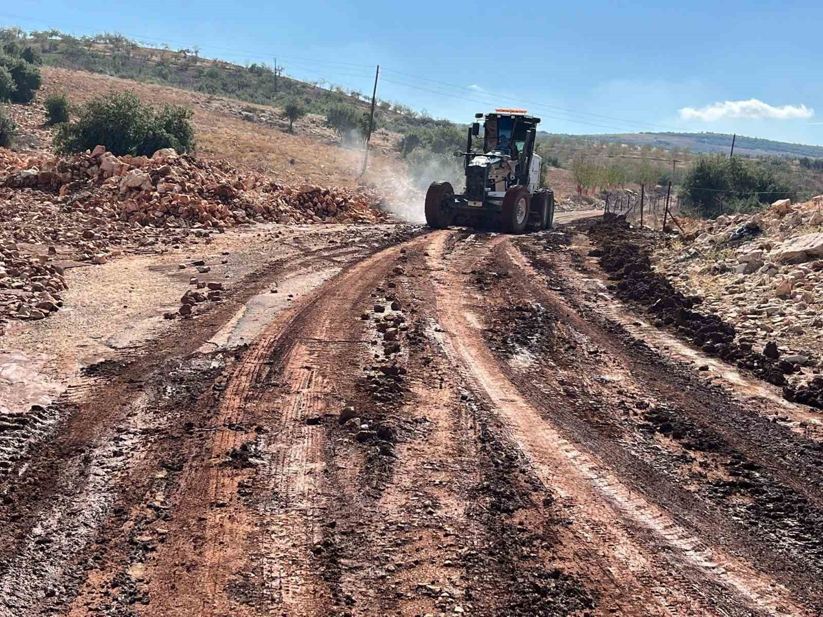 Etkili olan yağmur tarlaları sular altında bıraktı