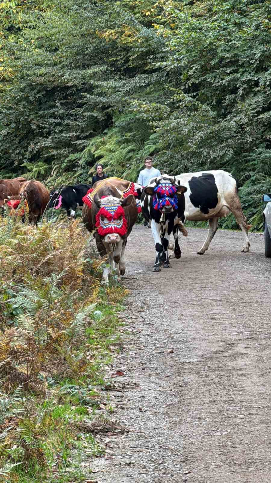 Asırlık gelenek s&uuml;rd&uuml;r&uuml;l&uuml;yor: Keremali Yaylası&rsquo;ndan renkli d&ouml;n&uuml;ş ş&ouml;leni
