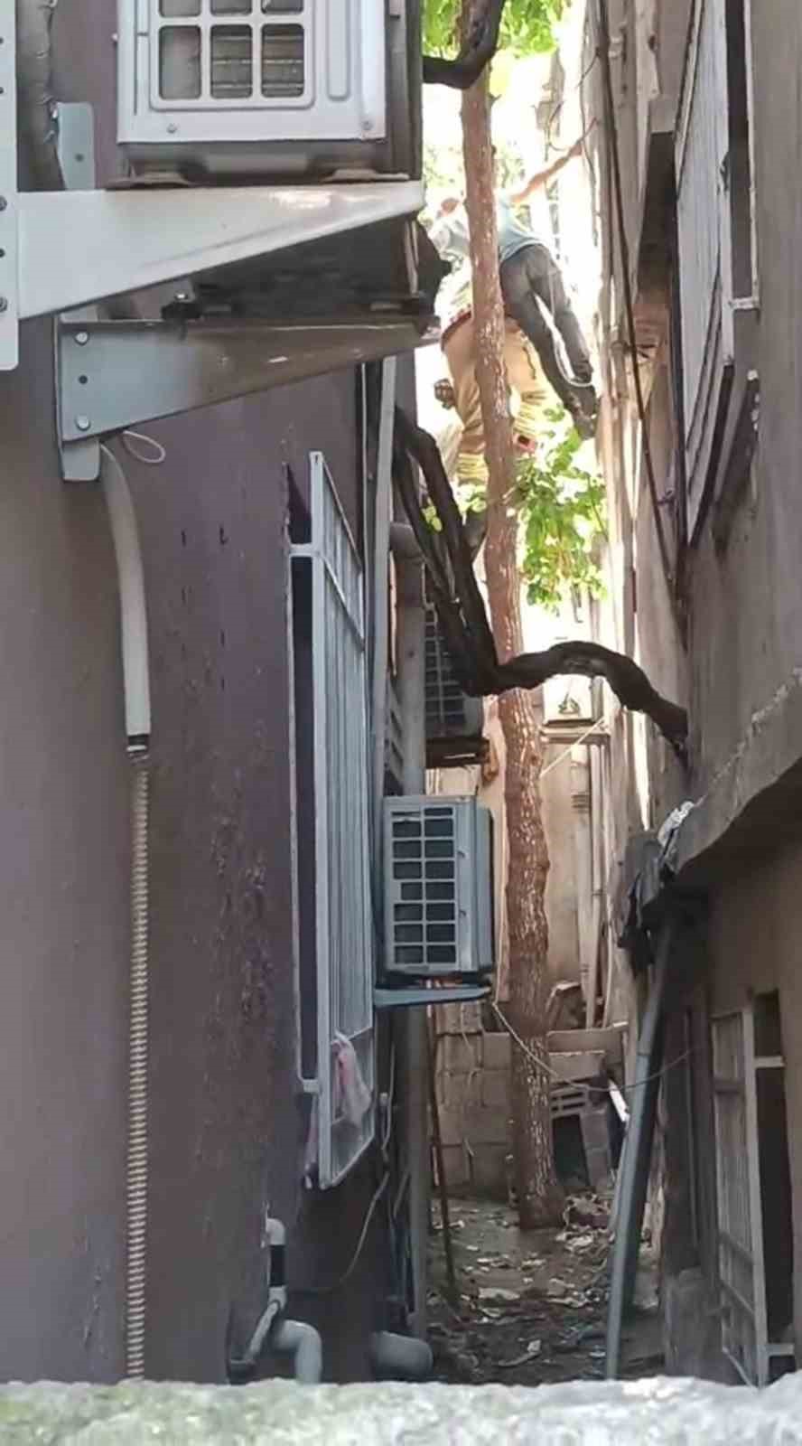 Ağa&ccedil;ta asılı kalan şahsı itfaiye kurtardı
