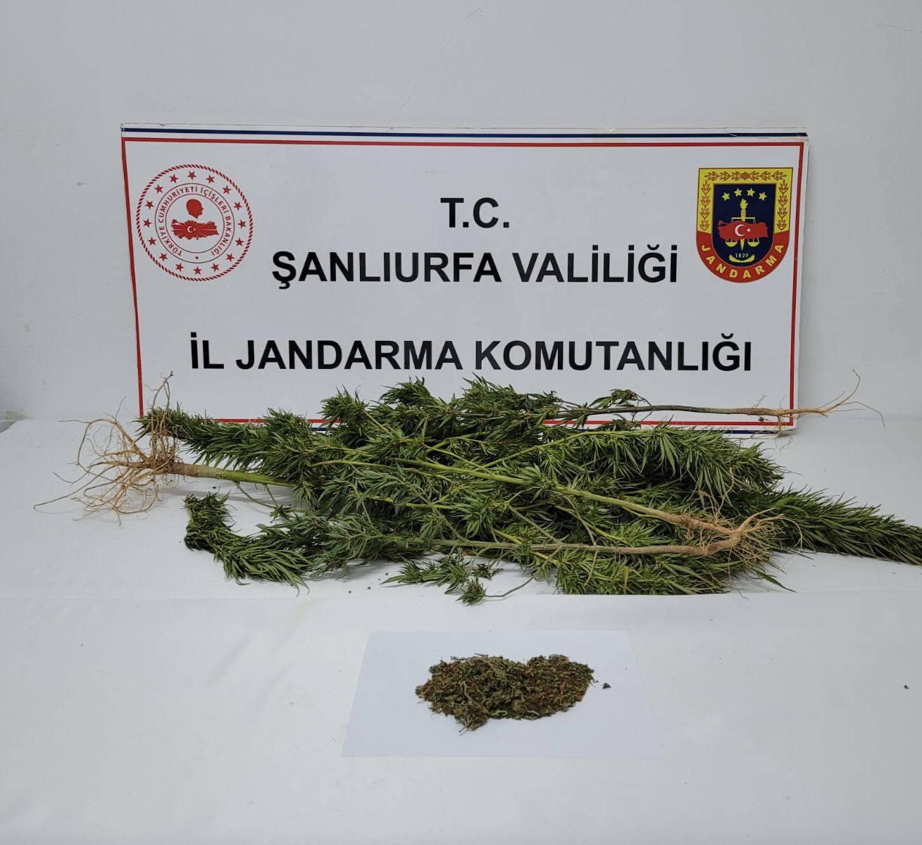 Şanlıurfa&rsquo;da 91 adet uyuşturucu hap ele ge&ccedil;irildi
