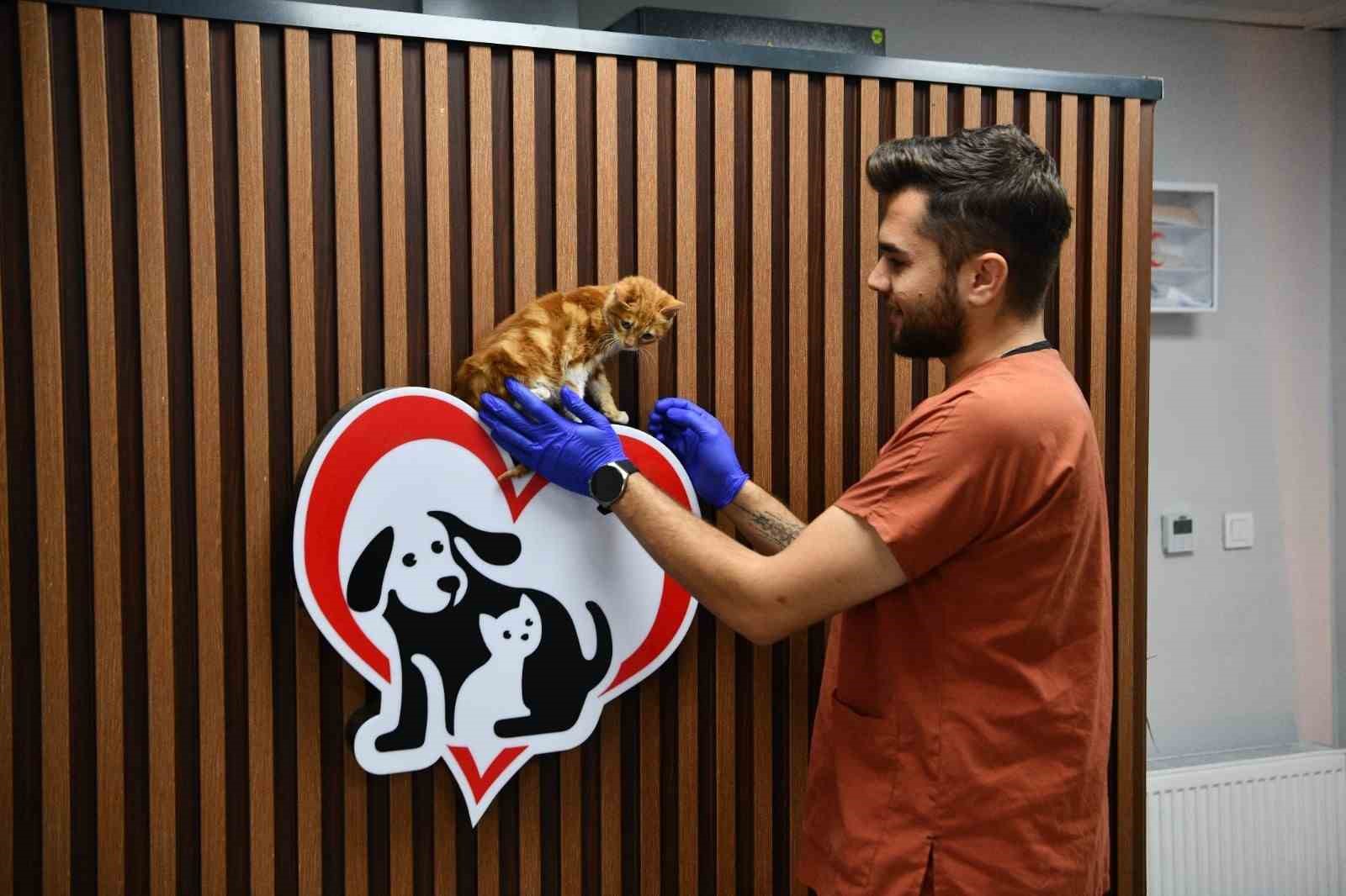 Balıkesir’de can dostlar Büyükşehir eliyle güvende